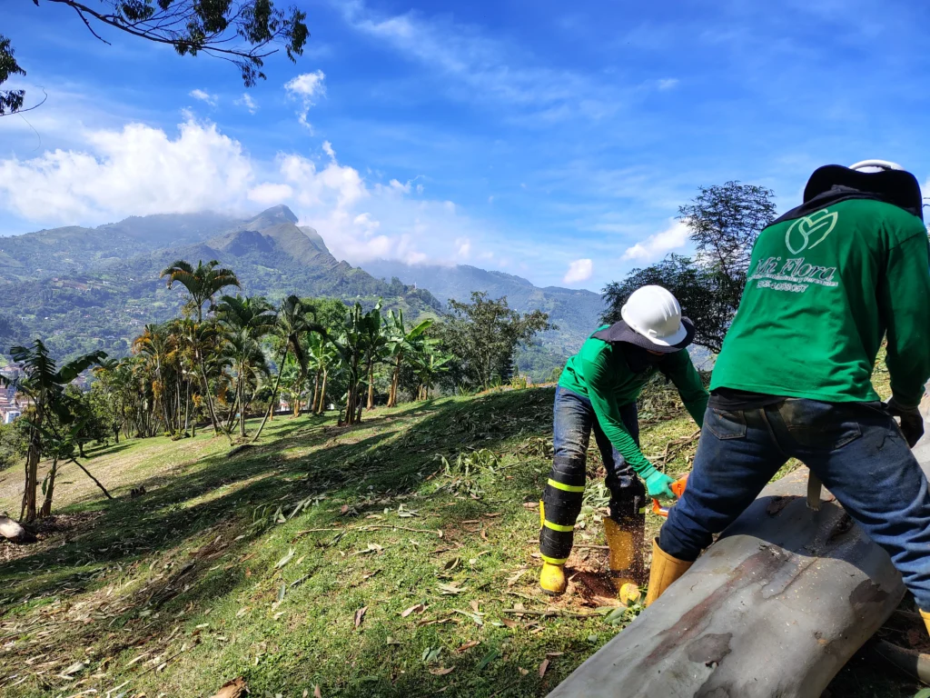 Servicios Ambientales y Forestales en Medellín